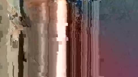 soft_bads online show from March 2026 11:37:02 AM