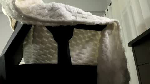 softlygirl online show from May 2026 07:53:02 PM