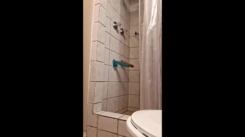 sologirl81 online show from February 2026 05:38:02 PM