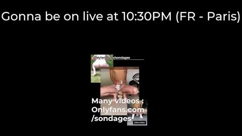 Sondages online show from March 2026 09:31:01 PM