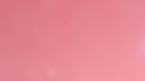 sophi_santana online show from February 2026 03:29:02 AM