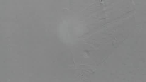 sophia_ebony___ online show from February 2026 01:14:02 PM