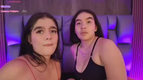    online show from July 2026 01:38:01 PM