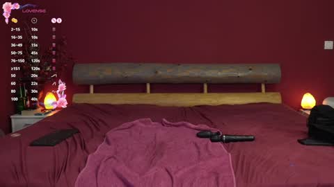 sophiascarlet96 online show from December 2024 03:54:02 PM