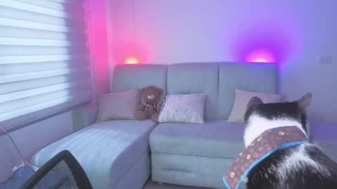 Sophie  online show from May 2026 03:18:02 PM