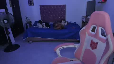 sophie doll online show from June 2026 02:33:01 AM