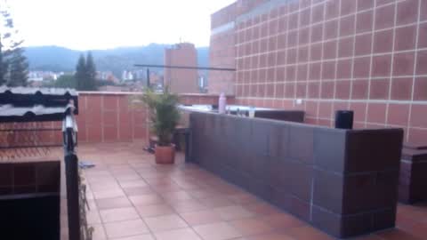 Sofa online show from July 2026 11:01:02 PM