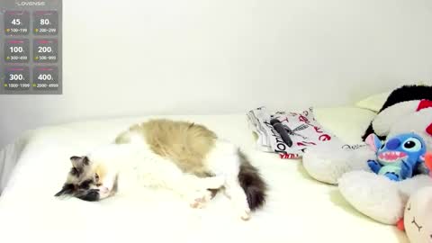 sophiebaker__ online show from September 2025 01:50:01 AM