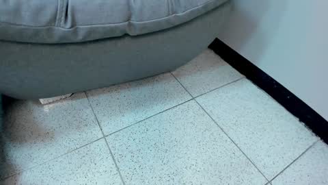 sophieharris__ online show from January 2025 05:41:02 AM