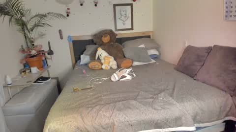 SofiTrans21 online show from December 2024 09:53:02 PM