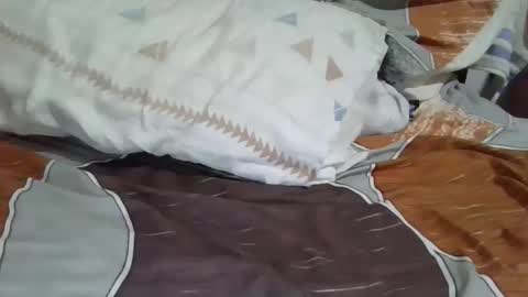 Dany online show from December 2024 01:13:02 PM