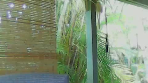 soveryhandsome online show from January 2025 05:58:02 AM