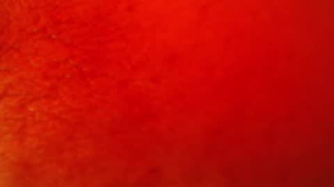 soy_fer online show from June 2026 08:18:01 PM