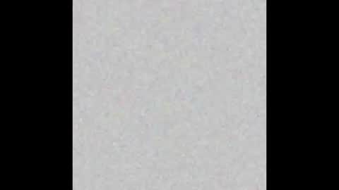 El Carlitos online show from January 2025 04:10:02 AM