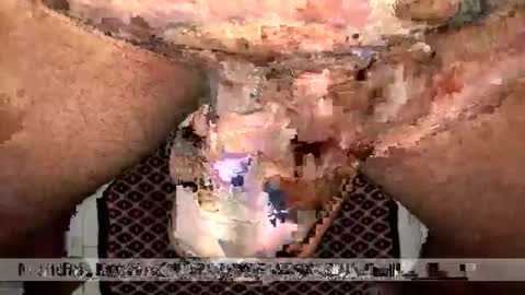 space Dog25 online show from January 2026 02:39:01 AM