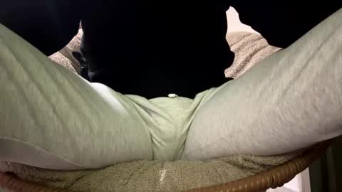 Dany online show from December 2025 12:19:02 AM