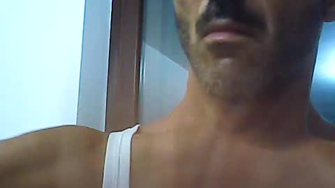 Speed online show from July 2026 11:33:01 PM