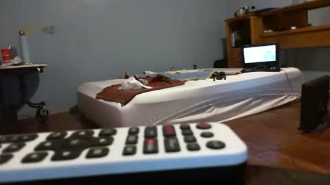 speedsoldier online show from February 2026 11:17:01 PM