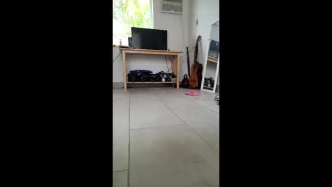 Rose online show from May 2026 07:54:01 PM