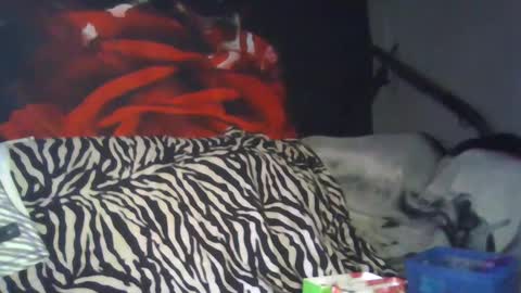 Snapshot of splashh_queen317 chatting on September 2025 08:13:01 PM Daddy His Splash Queen online show from September 2025 08:13:01 PM