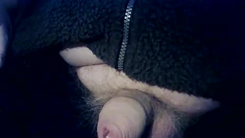 Snapshot of splitter60 chatting on February 2026 03:15:02 PM splitter60 online show from February 2026 03:15:02 PM