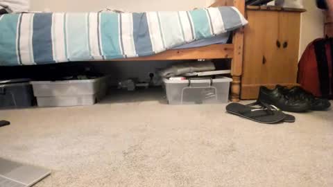 Snapshot of sportyguy283 chatting on January 2026 09:18:02 PM Sportyguy283 online show from January 2026 09:18:02 PM