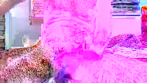 sprayx online show from December 2025 09:13:02 PM