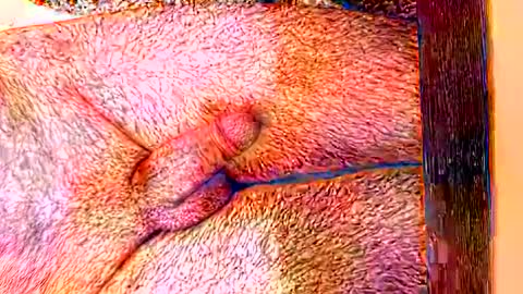 sprayx online show from February 2026 11:35:02 AM