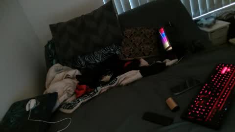 Snapshot of spreadyabhutt chatting on February 2026 10:39:01 PM spreadyabhutt online show from February 2026 10:39:01 PM