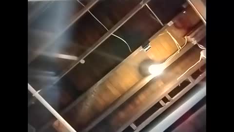 spundaddyandprincess online show from December 2024 04:29:02 PM