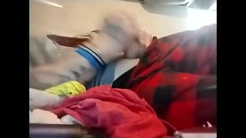 spundaddyandprincess online show from December 2024 02:30:02 PM