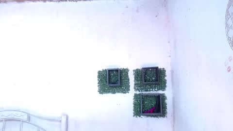 Snapshot of squirt_dirty_anal chatting on January 2025 12:17:01 AM valeria online show from January 2025 12:17:01 AM