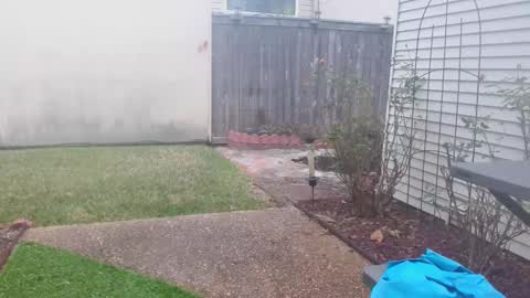 Snapshot of srtxshow chatting on February 2025 03:20:01 PM srtxshow online show from February 2025 03:20:01 PM