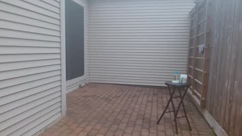 Snapshot of srtxshow chatting on March 2025 11:24:02 PM srtxshow online show from March 2025 11:24:02 PM