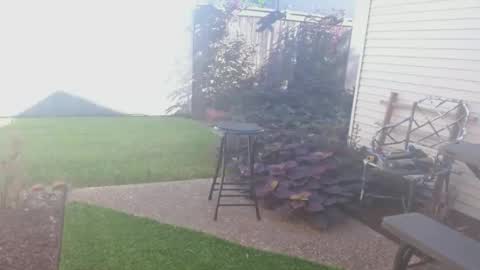 Snapshot of srtxshow chatting on September 2025 02:43:02 PM srtxshow online show from September 2025 02:43:02 PM