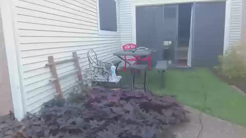 Snapshot of srtxshow chatting on October 2025 12:49:02 PM srtxshow online show from October 2025 12:49:02 PM