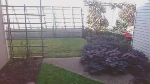 Snapshot of srtxshow chatting on November 2025 08:47:02 PM srtxshow online show from November 2025 08:47:02 PM