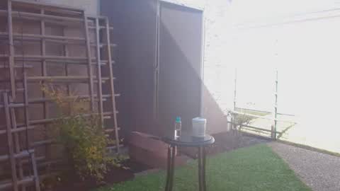 Snapshot of srtxshow chatting on February 2026 06:00:02 PM srtxshow online show from February 2026 06:00:02 PM