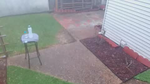 Snapshot of srtxshow chatting on March 2026 10:13:02 PM srtxshow online show from March 2026 10:13:02 PM