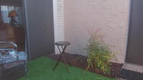 Snapshot of srtxshow chatting on March 2026 11:33:01 PM srtxshow online show from March 2026 11:33:01 PM