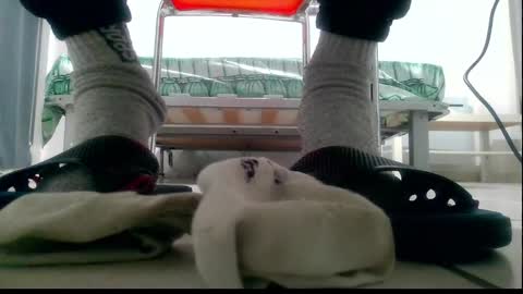 ssenzo online show from December 2024 09:54:02 PM