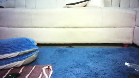 tacy online show from July 2026 01:57:01 PM