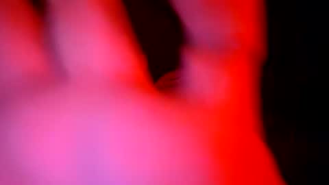 stallion_bear online show from July 2026 04:25:02 PM