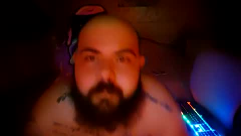stallion_bear online show from July 2026 07:29:02 PM