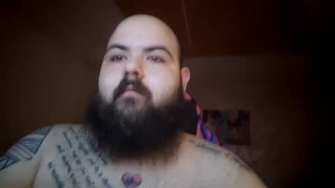 stallion_bear online show from July 2026 02:10:01 PM