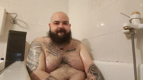 stallion_bear online show from July 2026 03:21:01 AM