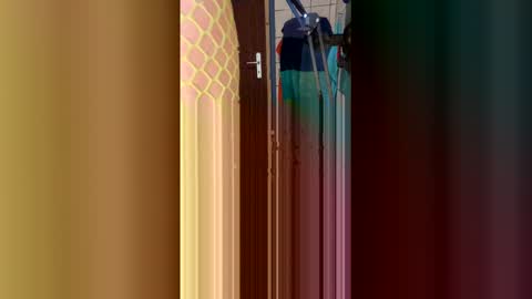 Snapshot of stambo0704987834 chatting on January 2026 01:16:02 PM stambo0704987834 online show from January 2026 01:16:02 PM