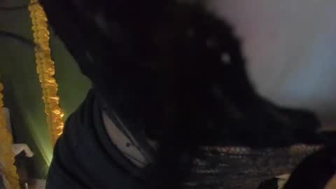 star_sub1 online show from April 2026 01:10:02 AM