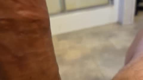 Snapshot of stareyes0249 chatting on September 2025 10:32:01 PM stareyes0249 online show from September 2025 10:32:01 PM