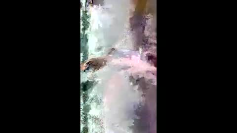 StarryWhispers online show from March 2026 11:21:01 AM